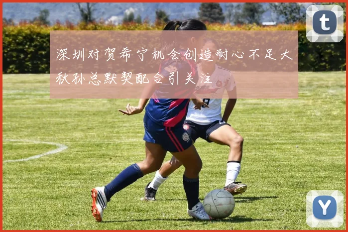 深圳对贺希宁机会创造耐心不足大秋孙总默契配合引关注